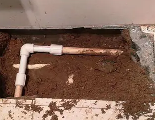 青岛市测漏水哪家好