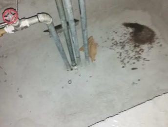 青岛市卫生间测漏水价格明细